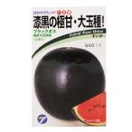 スイカの種 ブラックボス(黒皮大玉) 小袋(10粒) ( 野菜の種 )