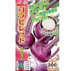 �R�[�����r�̎� �R���r���b�h ���� ( ��؂̎� )