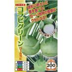 �L���x�c�̎� �R�[�����r �R���r�O���[�� ���� ( ��؂̎� )