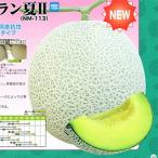 メロンの種 アールスムーラン夏II 100粒 ( 野菜の種 )