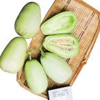 ウリの種 網干メロン 小袋（40粒）