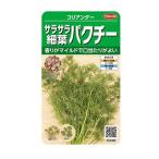  кориандр. вид Sara Sara маленький лист кориандр реальный . маленький пакет ( овощи. вид )