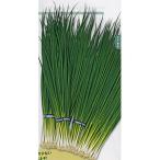  лук-батун. вид энергия тонкий 1L