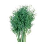  трава. вид укроп реальный . маленький пакет ( овощи. вид )