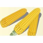  кукуруза. вид пикник кукуруза маленький пакет ( примерно 60 шарик )