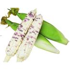  кукуруза. вид моти моти Taro bai цвет 1L