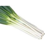  лук-батун. вид большой река. рев .pe let 5 тысяч шарик 