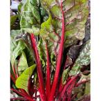  трава. вид Швейцария коричневый -do красный 2(ru балка b коричневый -do) маленький пакет 