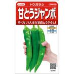 トウガラシ 種  甘とうジャンボ  小袋(25粒) ( とうがらし・ししとうの種 )