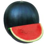 ショッピングスイカ スイカの種 ピノ・ダディ 小袋（5粒）