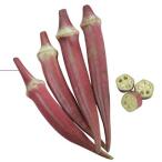  абельмош. вид красный абельмош лето ... маленький пакет 