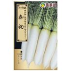  дайкон. вид весна праздник (. ....) маленький пакет ( дайкон овощи. вид )