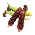  кукуруза. вид Yamato rouge маленький пакет ( примерно 10ml)