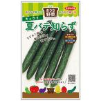 キュウリの種 おうち野菜　夏バテ知らず 