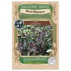  трава. вид sinamon базилик маленький пакет 