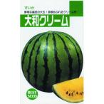 スイカの種 大和クリーム 小袋 ( 野菜の種 )