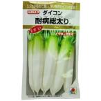 大根の種 耐病総太り 35ml ( 野菜の種 )