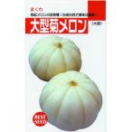 メロンの種 菊メロン 小袋 ( 野菜の種 )