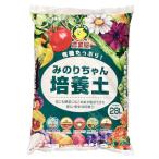 �A�������C�Ɉ�Ă܂��I�݂̂肿���|�{�y�@�Q�W�k �p�y �ԗp ��ؗp