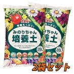 �A�������C�Ɉ�Ă܂��I�݂̂肿���|�{�y�@�Q�W�k 2�܃Z�b�g