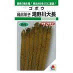 ゴボウの種 滝野川大長 小袋 約10ml ( 野菜の種 )