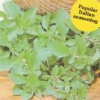  трава. вид орегано маленький пакет ( овощи. вид )