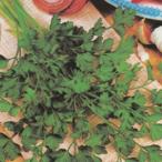  трава. вид итальянская петрушка маленький пакет ( глициния рисовое поле семена ) ( овощи. вид )