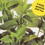  трава. вид мята перечная маленький пакет ( овощи. вид )