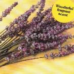  трава. вид лаванда (to Roo ) маленький пакет ( глициния рисовое поле семена ) ( овощи. вид )