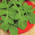  трава. вид Rocket ( L -ka) маленький пакет ( глициния рисовое поле )