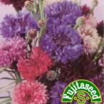  трава. вид кукуруза цветок маленький пакет ( овощи. вид )