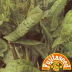  трава. вид soreru(ozeiyu) маленький пакет ( овощи. вид )