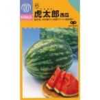 ショッピングスイカ スイカの種 虎太郎 小袋 ( 野菜の種 )
