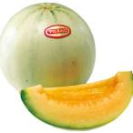 ショッピングメロン メロンの種 プリンス 100粒 ( 野菜の種 )