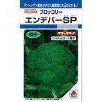 ブロッコリーの種 エンデバーSP 2千粒 ( 野菜の種 )