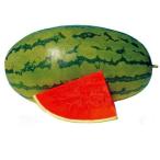 スイカの種 甘美人 10粒 ( 野菜の種 )