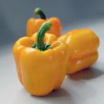  паприка. вид цвет зеленый перец желтый ( паприка ) примерно 15 шарик ( овощи. вид )