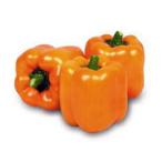  паприка. вид цвет зеленый перец orange ( паприка ) примерно 15 шарик ( овощи. вид )