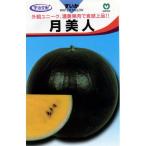 スイカの種 月美人 7粒 ( 野菜の種 )