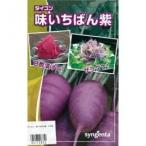 大根の種 味いちばん紫 50粒 ( 野菜の種 )
