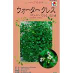 タキイ種苗 クレソン（ウォータークレス）の種
