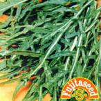  трава. вид wild Rocket cell палочки ko маленький пакет ( глициния рисовое поле )