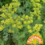  трава. вид Roo маленький пакет ( овощи. вид )