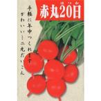 ��\���卪�̎� �R���b�g(�Ԋ�20��) 1dl