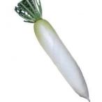  дайкон. вид весна бог приятный 10ml ( овощи. вид )