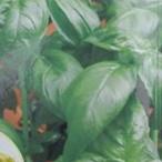  трава. вид сладкий базилик 20ml ( овощи. вид )