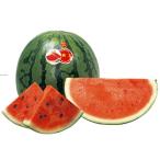  арбуз. вид ..100 шарик 