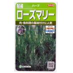  трава. вид розмарин реальный . маленький пакет ( овощи. вид )