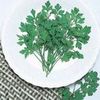  трава. вид итальянская петрушка 1dl ( овощи. вид )