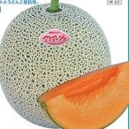 メロンの種 マリアー